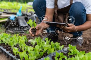 Exploring IoT Applications in the Food Industry: Innovations, Benefits, and Future Trends